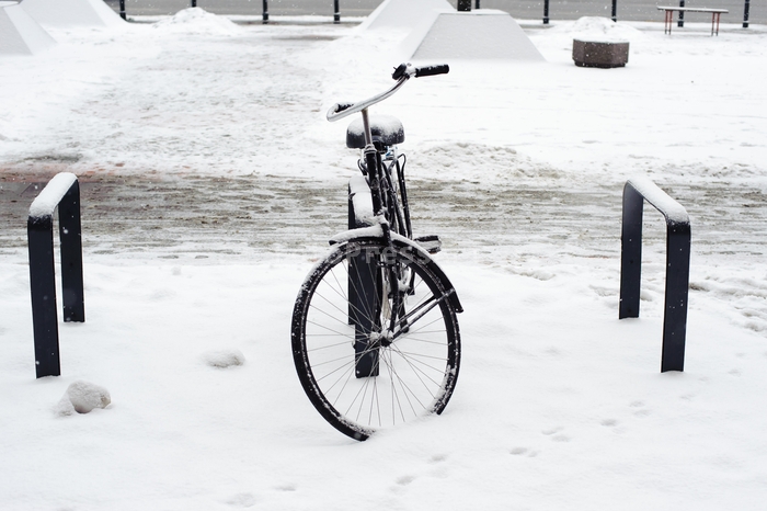 RobGajdabikeinsnow20170113102543FotoPressArt.jpg