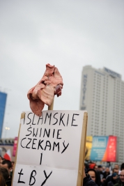 RobGajda_Antyimigrants_demonstration20150912153700.jpg