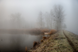 RobGajda_Mist-forest-20191219094113.JPG