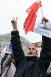 RobGajda_Protester_with_flag_victoria_20151212144243.jpg