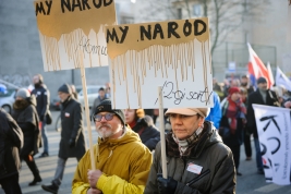 RobGajda_Protesters_with_banners_20160227155118.jpg