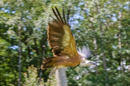 RobGajda_Sep_plowy_20070718143813_FotoPressArt.jpg