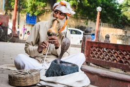 RobGajda_Snake_charmer20101004113351.jpg