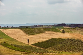 RobGajda_Tuscany_FotoPressArt_20080720122057.jpg