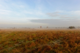 RobGajda_meadow_20081110084737.jpg