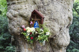 RobGajda_shrine_in_platetree_FotoPressArt_20180602115506.jpg