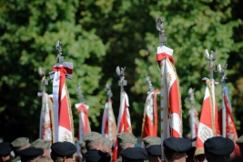 RobGajda_Polish_Flags_with_eagel20150815104957.jpg