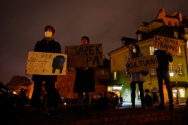 RobGajda_protest-artystow-20201102182451.jpg