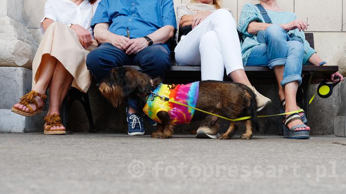 RobGajdaManifestationPolandAgainstViolenceFotoPressArt20190727142606.jpg