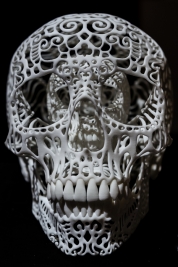 RobGajda_3D_print_skull20131116113022.jpg